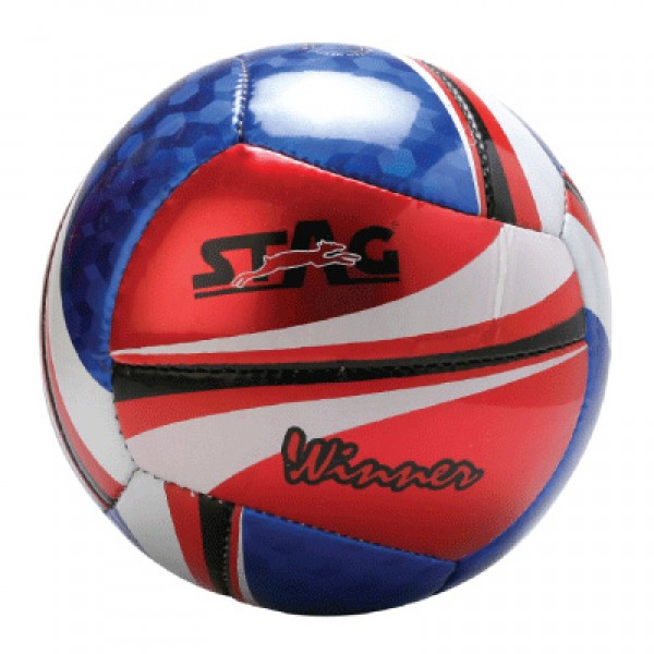 STAG Volley Ball Winner